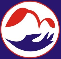 VILAKRS PARAMEDICAL logo